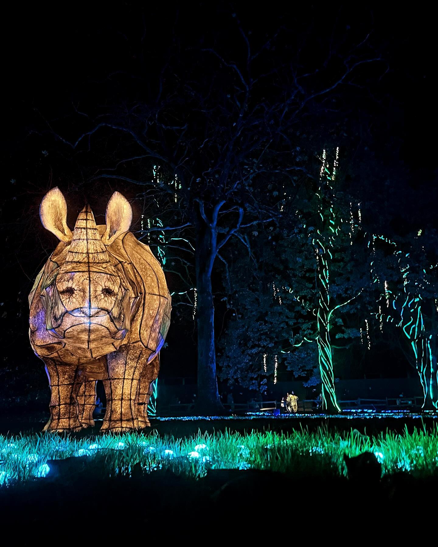 Lanterns at Chester Zoo#chesterzoo #lanterns #wirral #smlp