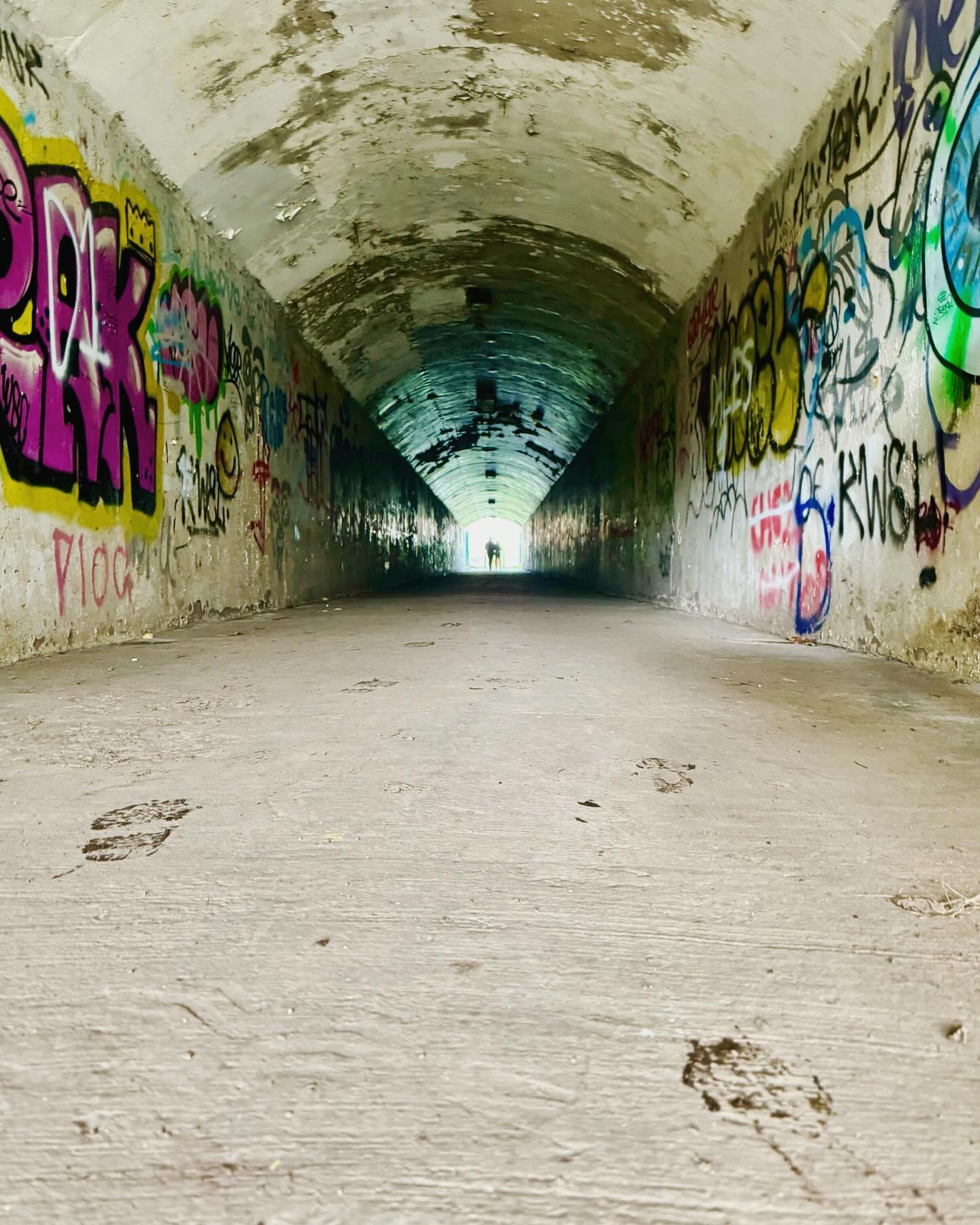 Tunnel #smlp #shotoniphone #iphoneography #graffitiart #tunnel