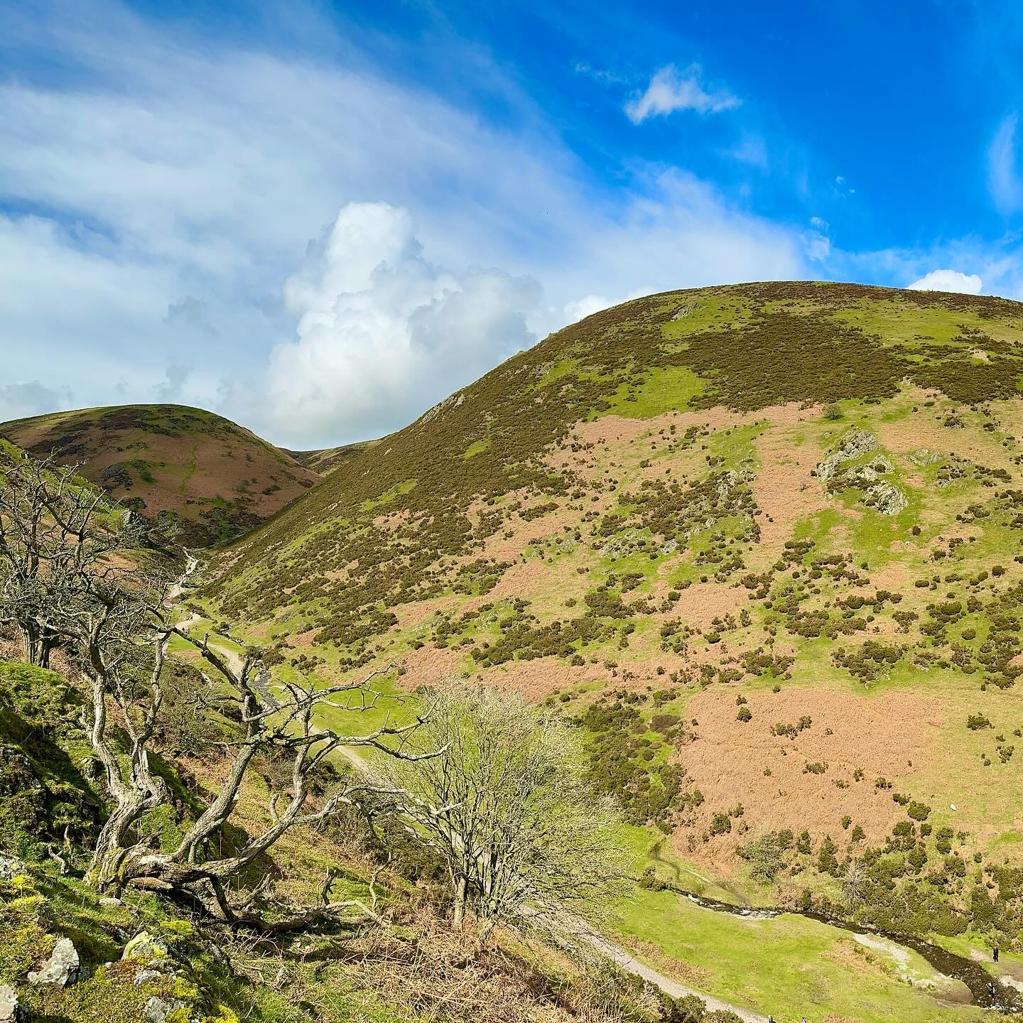 Carding Mill Valley#vally #cardingmillvalley #panoramic #smlp #iphonography #shotoniphone