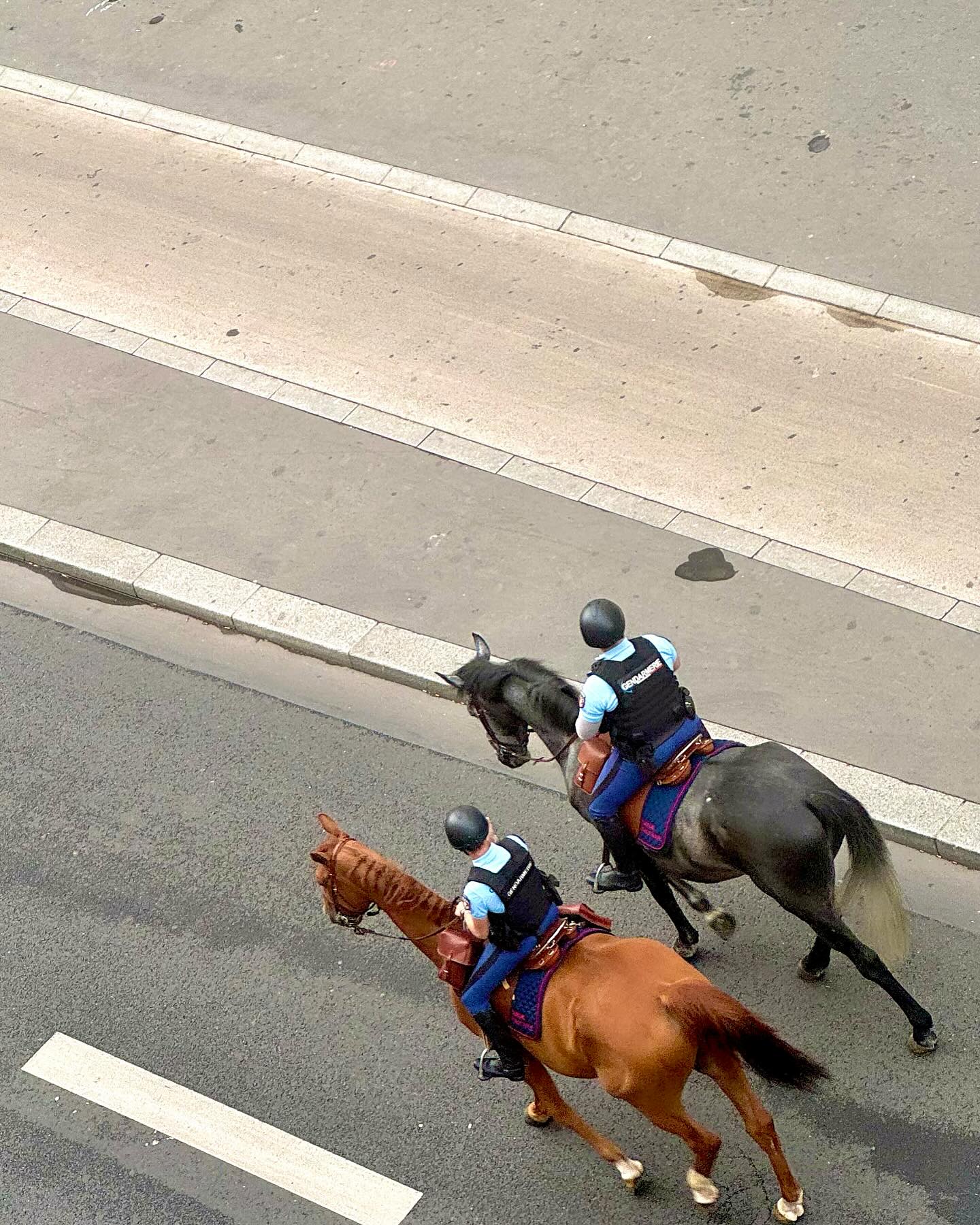 Police Horses#paris #smlp #policeofficer #policehorse #shotoniphone #iphoneography