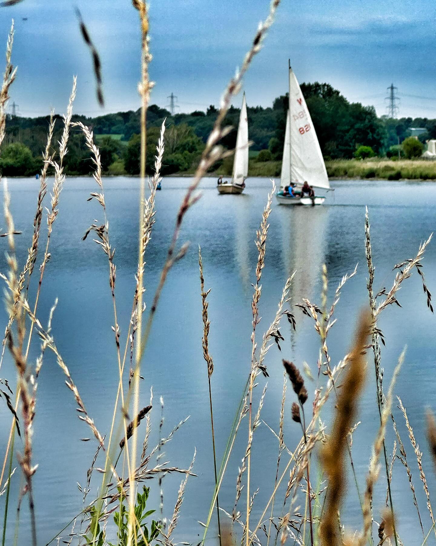 Grass Sail#smlp #shotoniphone #iphonography #boat #grass #sailing #sailboat