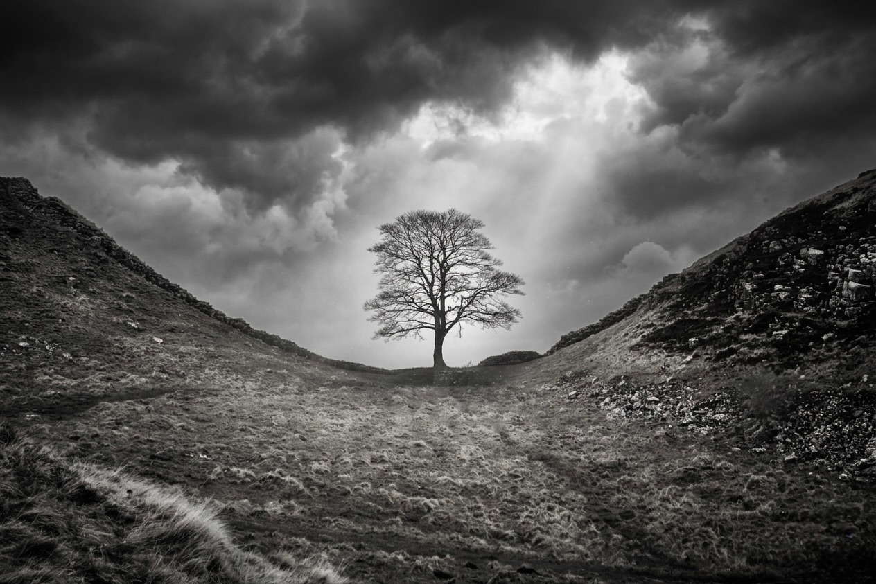 18 Years ago today I did the photographers pilgrimage#sycamoregap #hadrianswall
