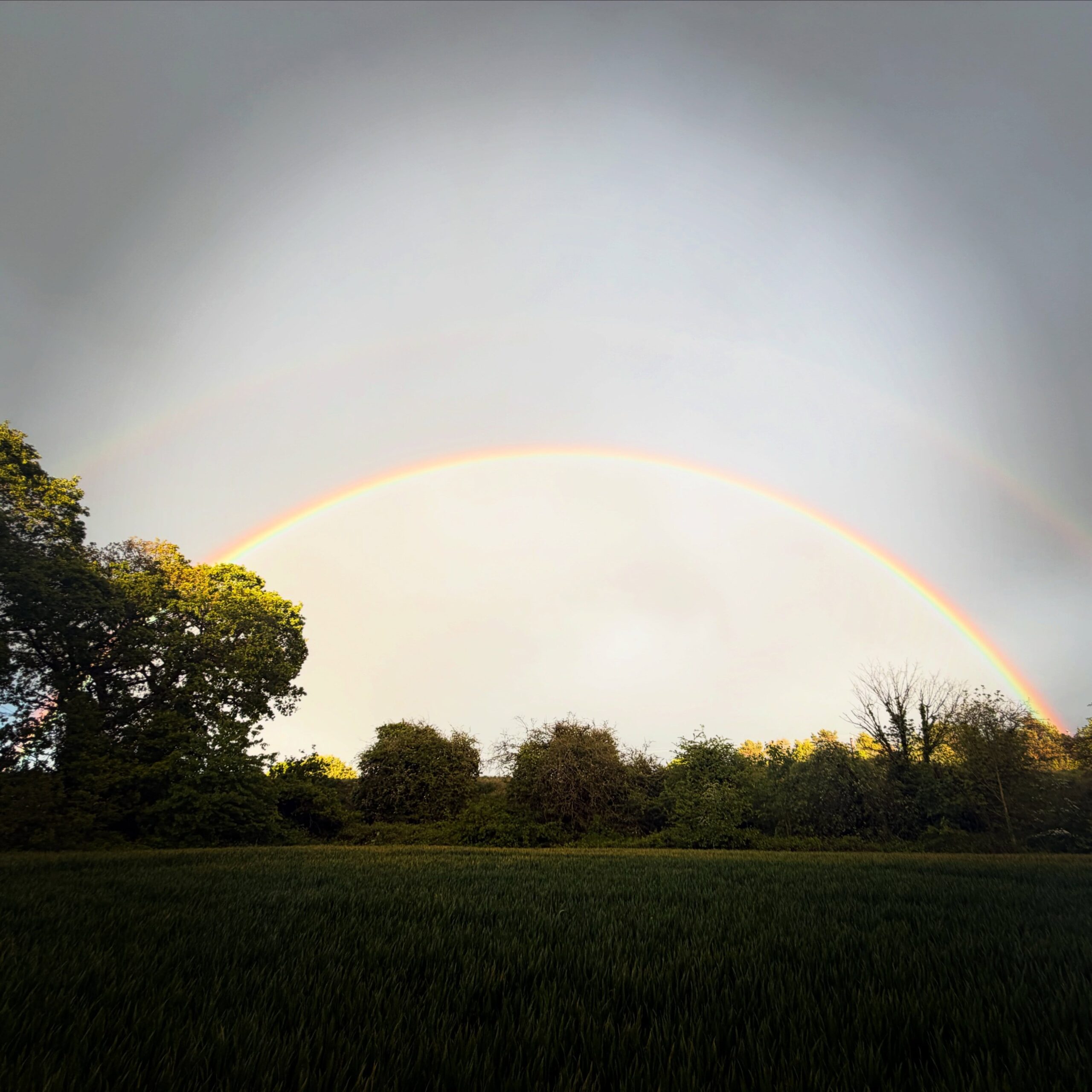 Rainbow Dome